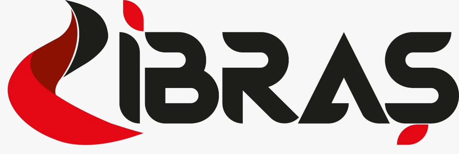 IBRAS logo